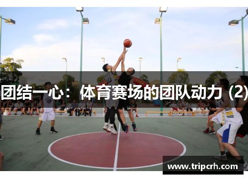 团结一心：体育赛场的团队动力 (2)