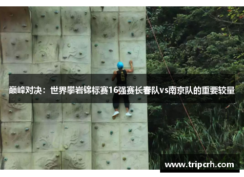 巅峰对决：世界攀岩锦标赛16强赛长春队vs南京队的重要较量
