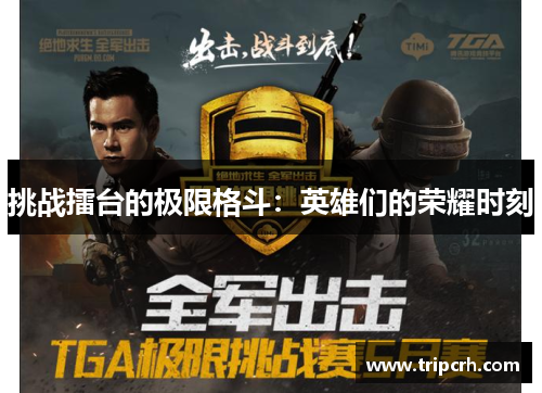 挑战擂台的极限格斗：英雄们的荣耀时刻