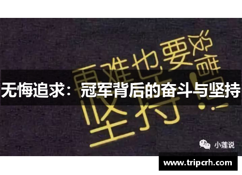 无悔追求：冠军背后的奋斗与坚持
