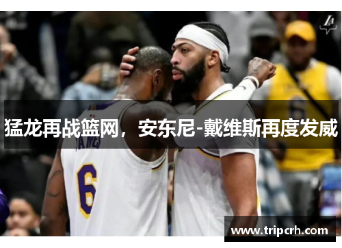 猛龙再战篮网，安东尼-戴维斯再度发威