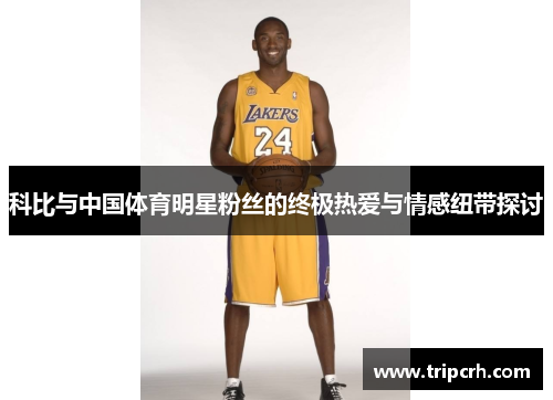 科比与中国体育明星粉丝的终极热爱与情感纽带探讨